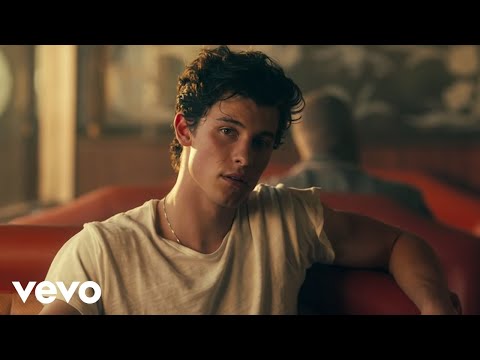 Shawn Mendes - love me or leave me